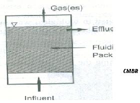 流化床反应器