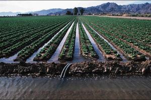 地面灌溉方法