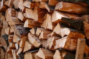 木材腐朽与保存